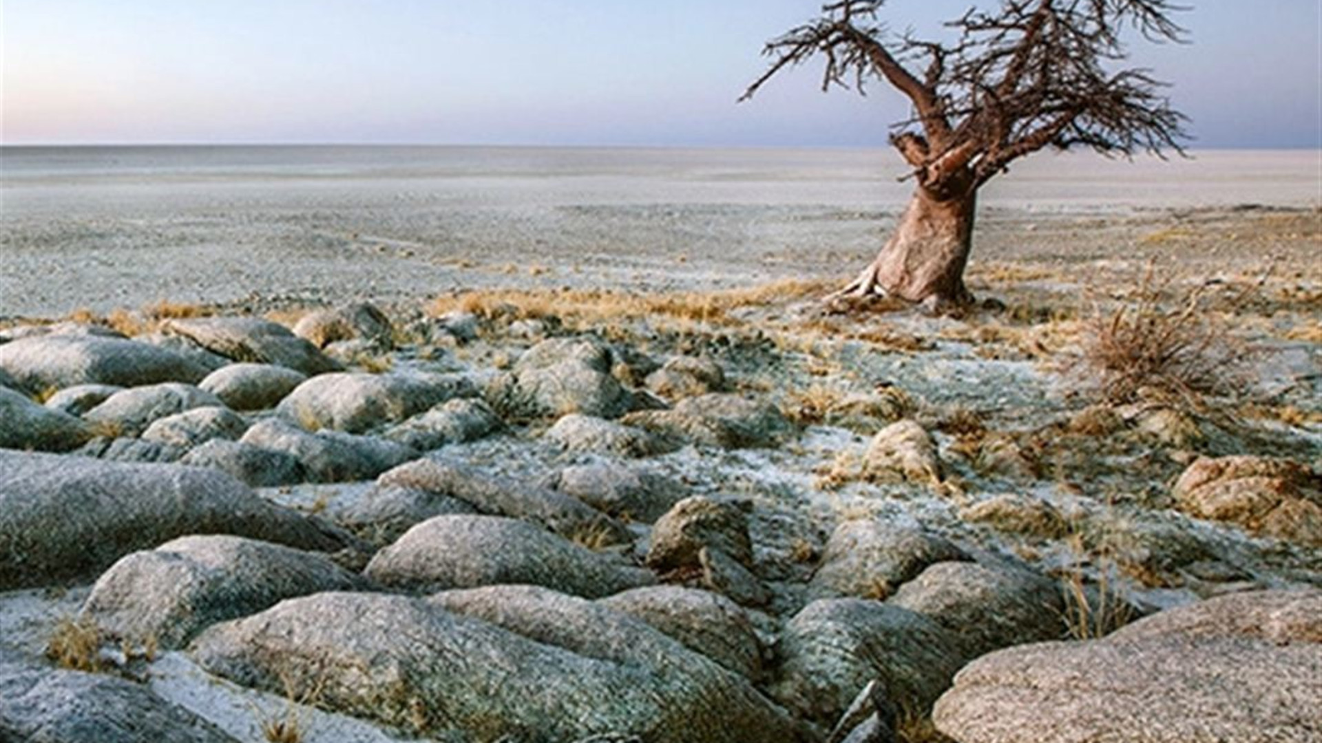 Signature: Botswana's Wildlife & the Okavango Delta