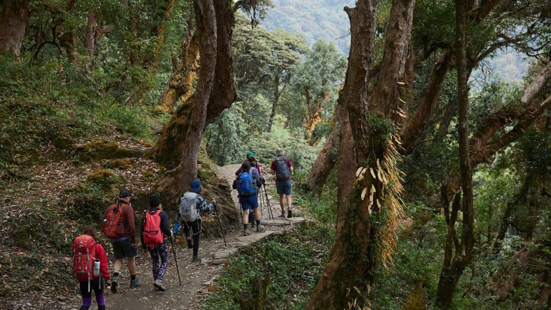 Premium Hiking and Trekking in Nepal's Annapurna region