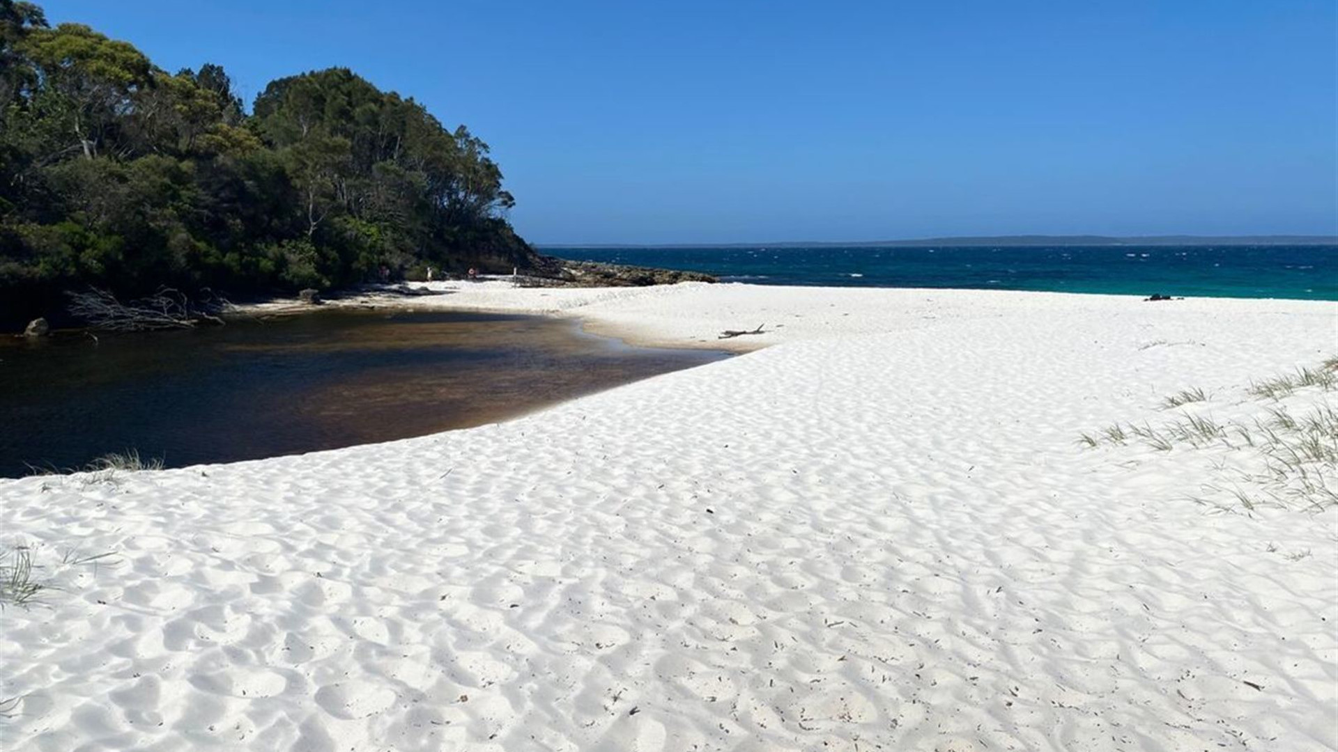 Melbourne to Sydney Adventure