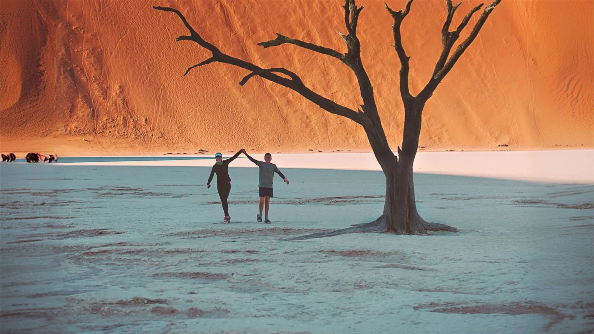 Best of Namibia