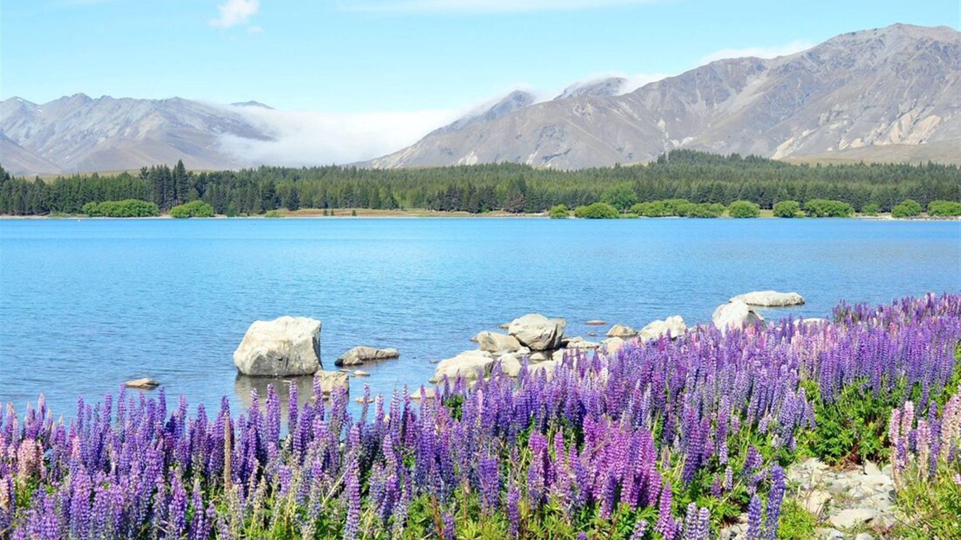 18 to 35s Essential New Zealand: South Island