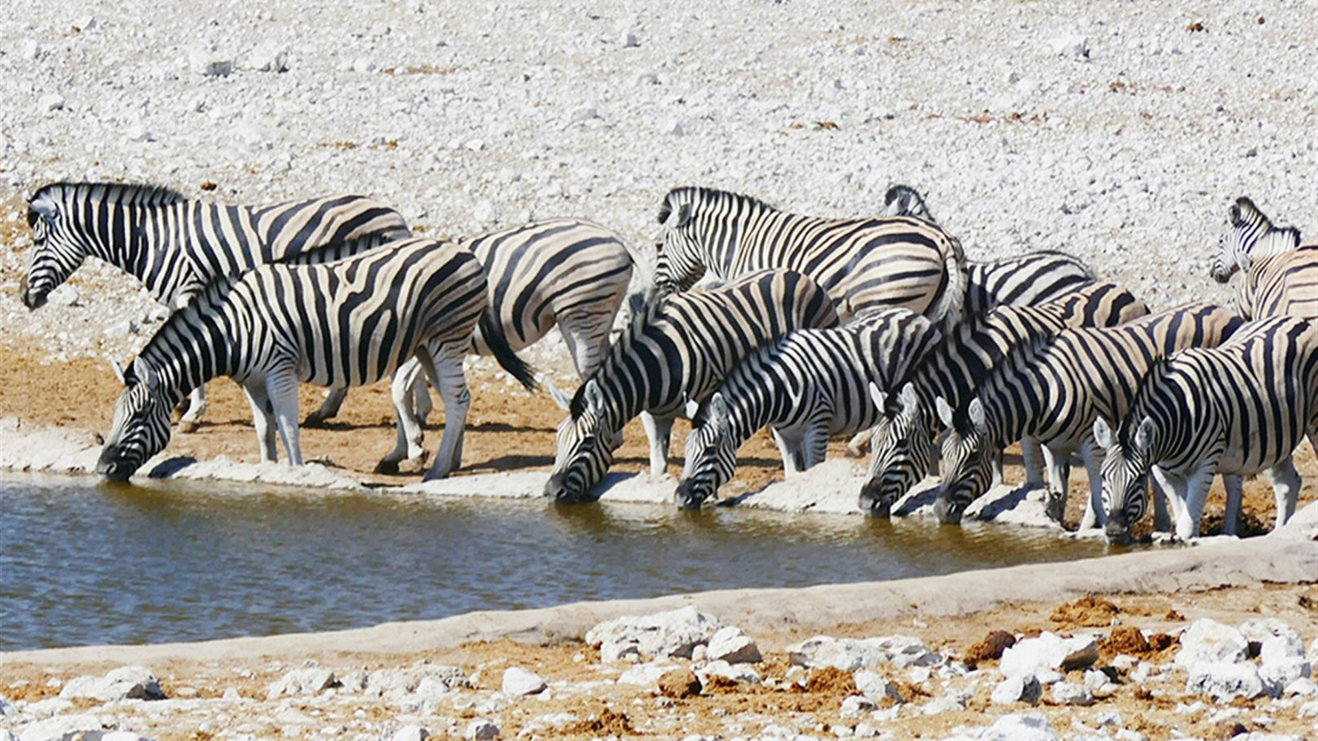 Namibia and South Africa