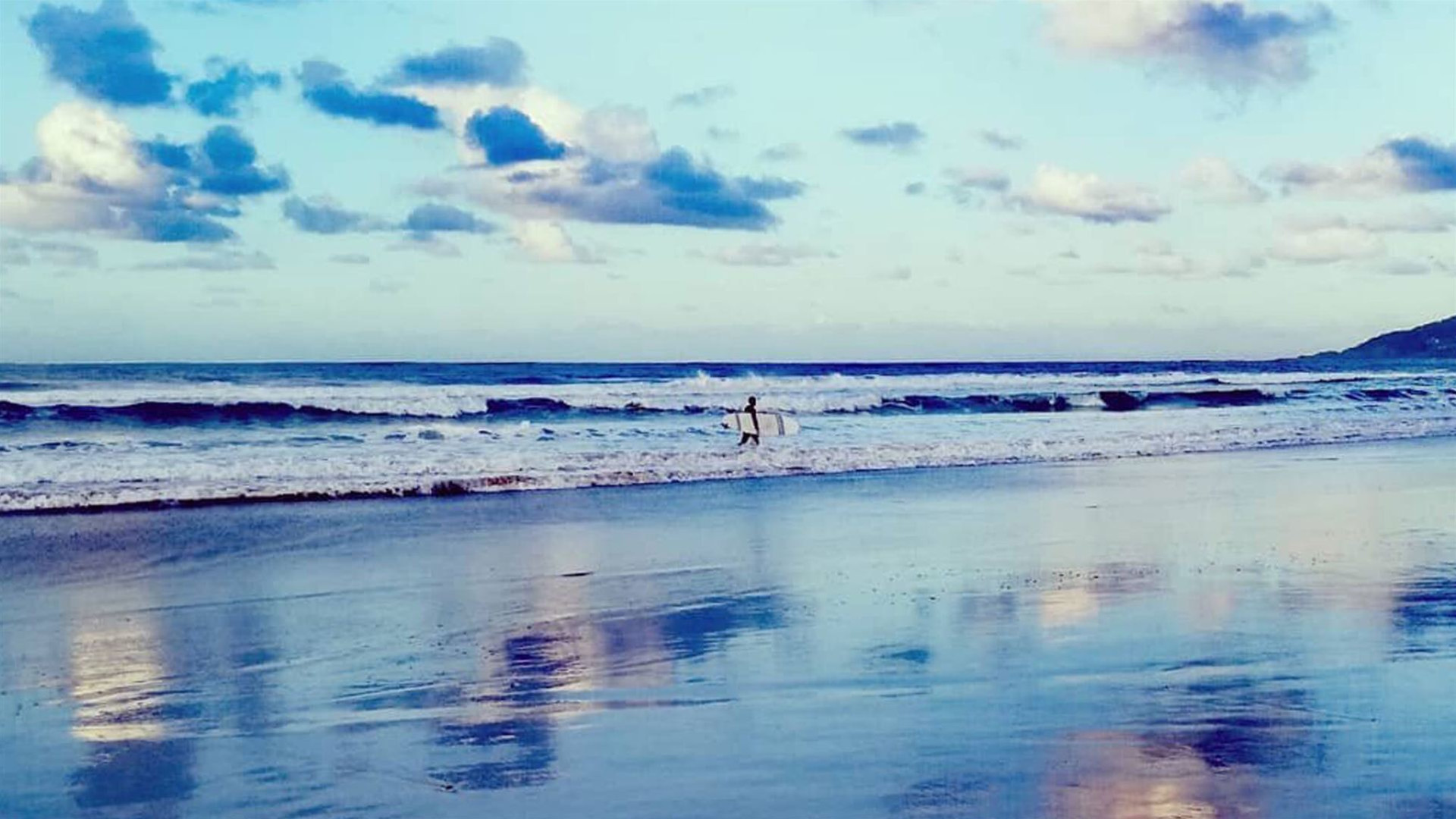 Sydney to Brisbane Experience: Bushwalks & Surfing