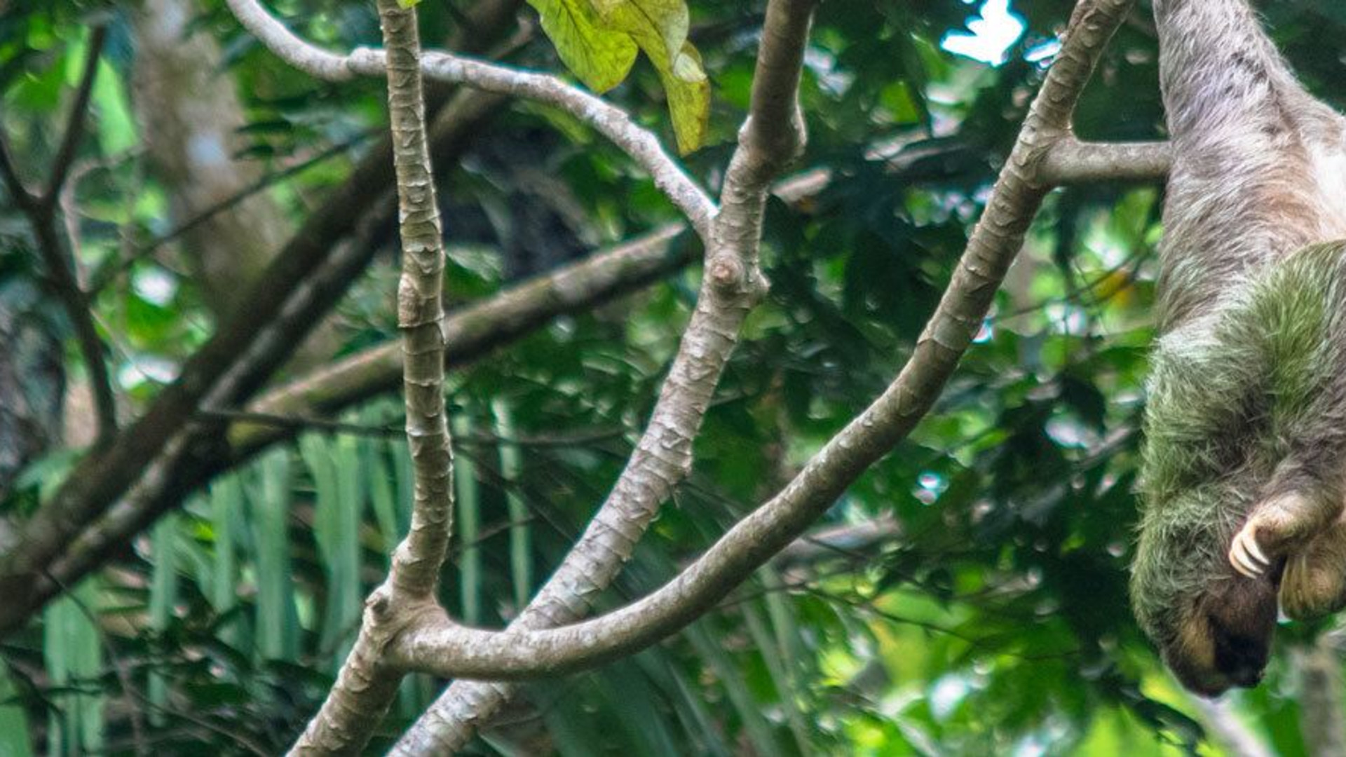 Best of Central America