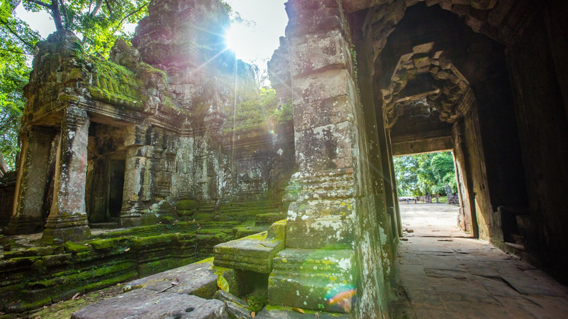Cambodia Real Food Adventure 