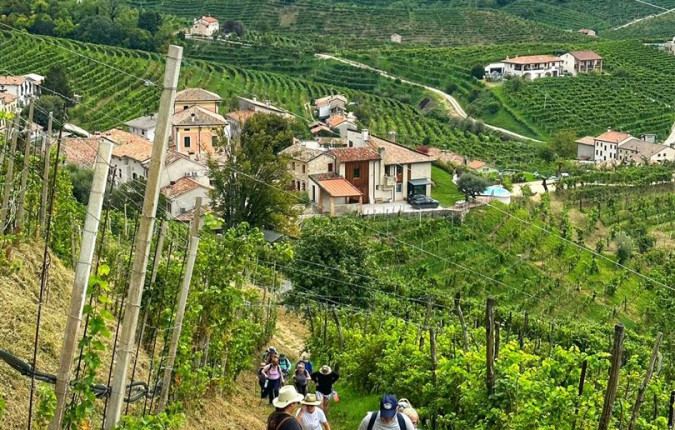 Walk The Prosecco Hills & Hidden Venice