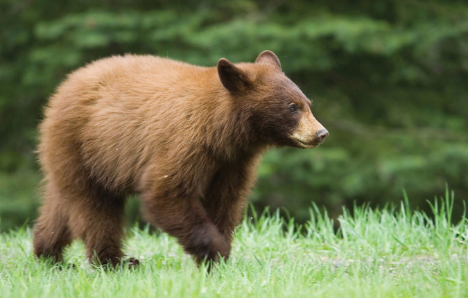 Alaska Discovery		
