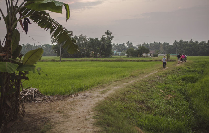 Kerala: Beaches & Backwaters