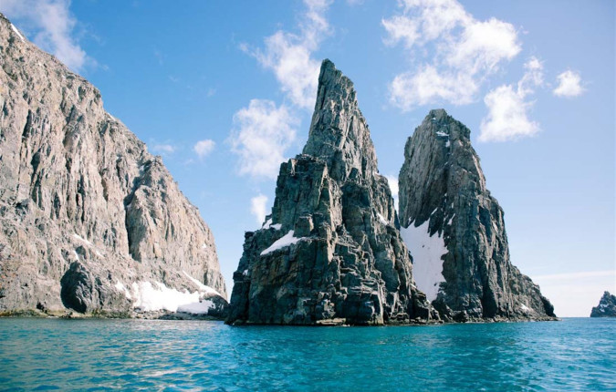 Best of Antarctica: Whale Discovery 