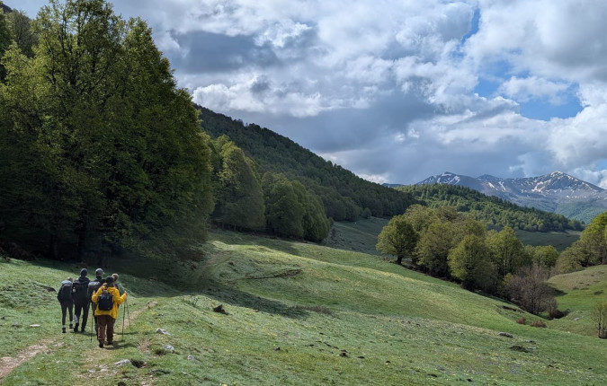 Italian Apennines: Walks & Wildlife