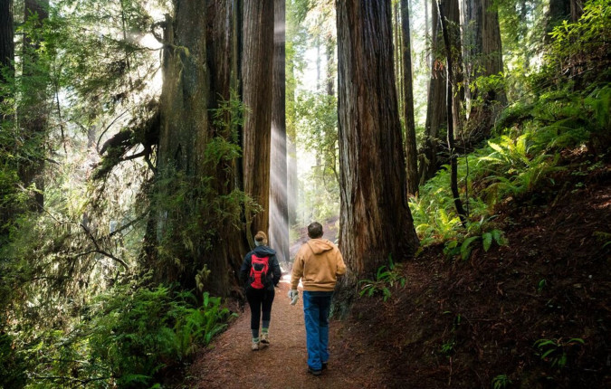 West Coast Discovery