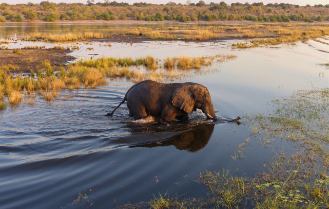 Botswana & Zimbabwe Lodge Safari