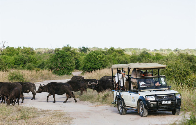 Botswana Highlights
