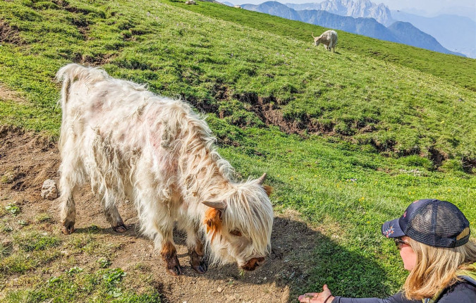 Highlights of the Dolomites