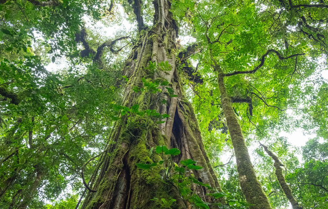 One Week In Costa Rica 