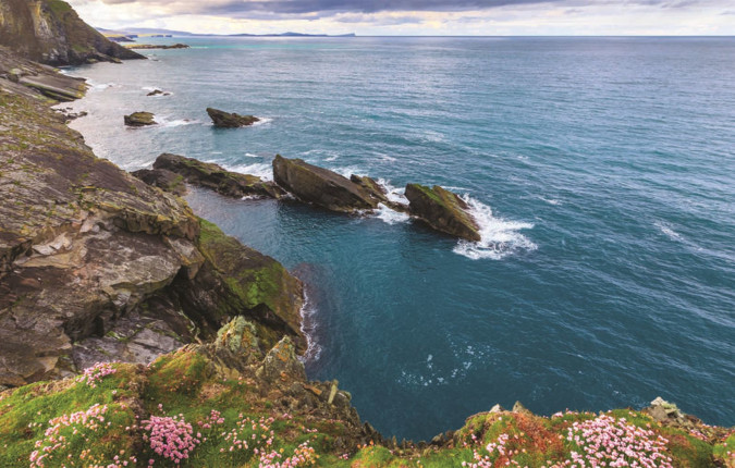 Wild Scotland - M/V Sylvia Earle