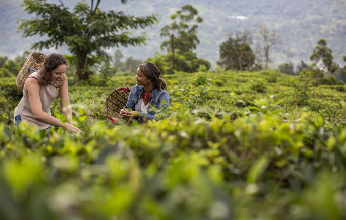 Journeys: Discover Sri Lanka