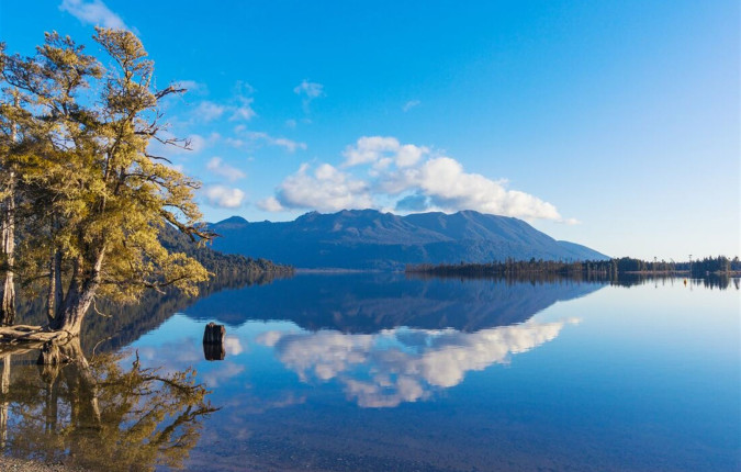 Premium New Zealand Encompassed