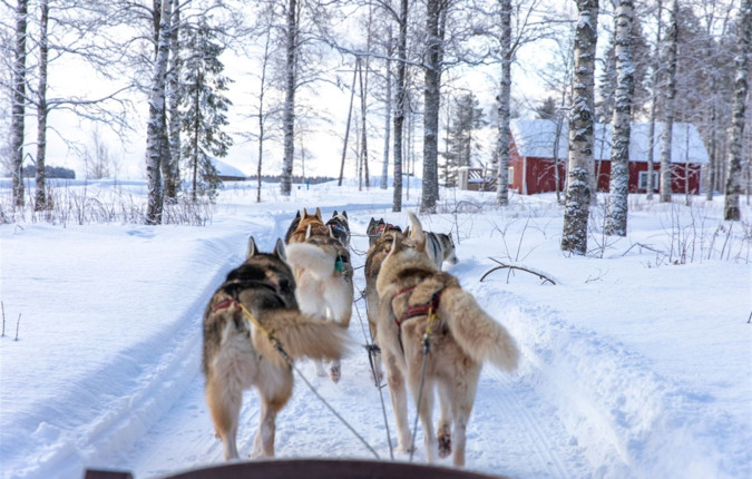 Finland Family Winter Adventure
