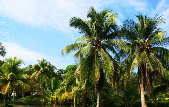 Mayan Sun Southbound: Boat Rides & Ruins