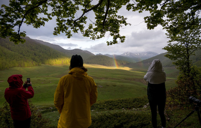 Italian Apennines: Walks & Wildlife
