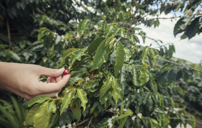 Journeys: Explore Colombia