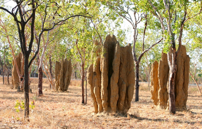 Best of Northern Territory