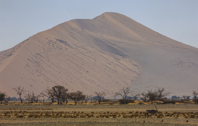 Cape & Dunes Discoverer