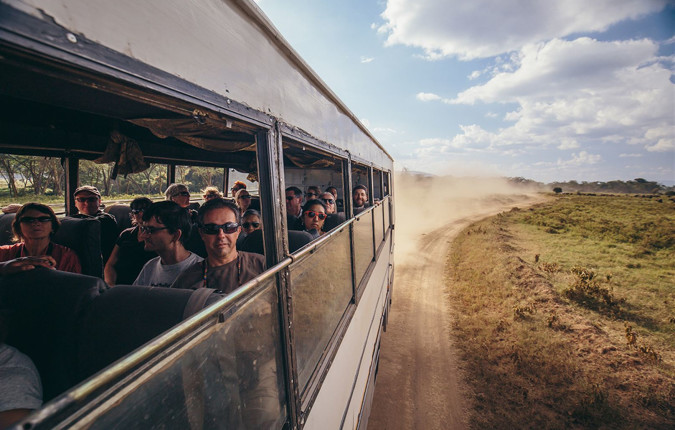 Gorillas & Game Parks