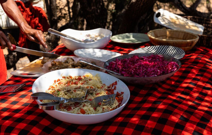 Kenya Wildlife Safari