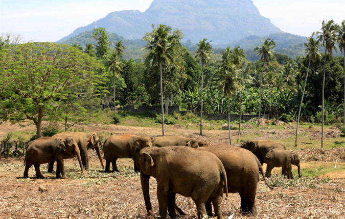 Journeys: Discover Sri Lanka