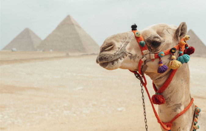 Egypt: Alexandria to Aswan