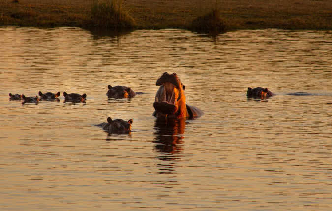 Botswana & Zimbabwe Lodge Safari