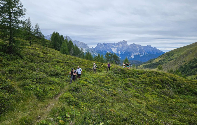 Classic Dolomites Hikes - Premium Adventure