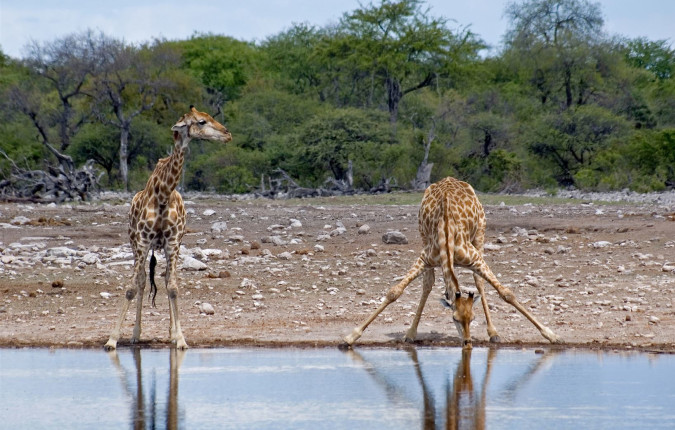 Victoria Falls to Cape Town - Camping