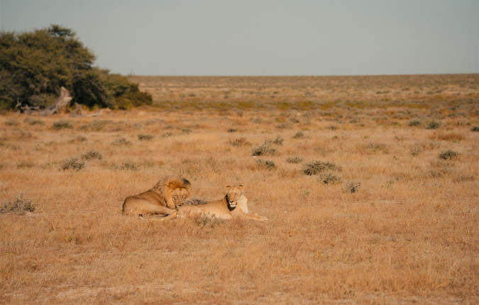 Discover Namibia - Camping