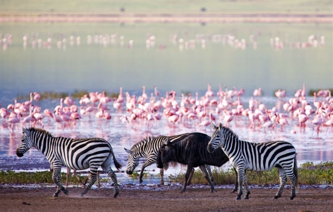 Premium Tanzania