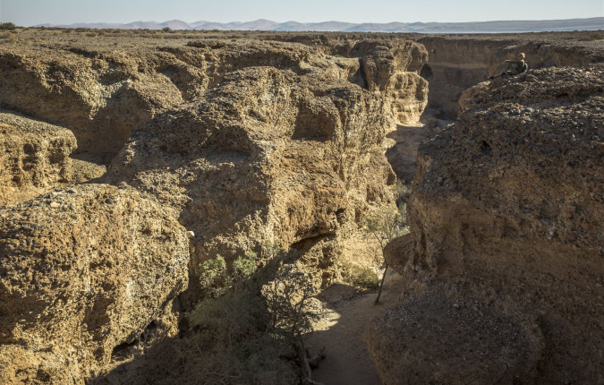 Southern Africa Northbound: Dunes, Deltas & Falls