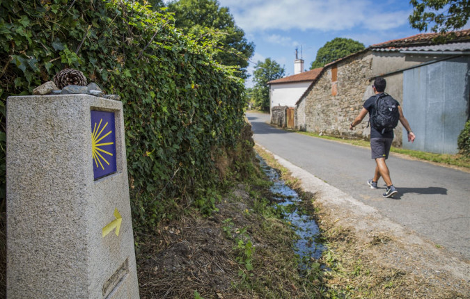 Walk the Camino de Santiago