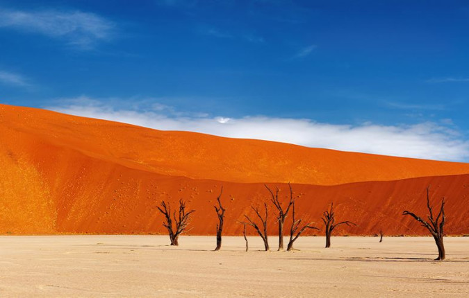 Premium Namibia