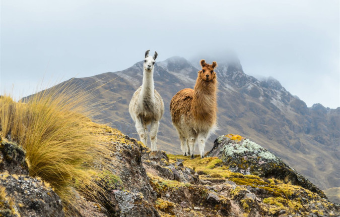 Essential Peru