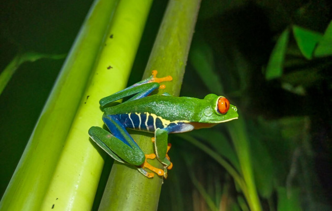 Discover Costa Rica