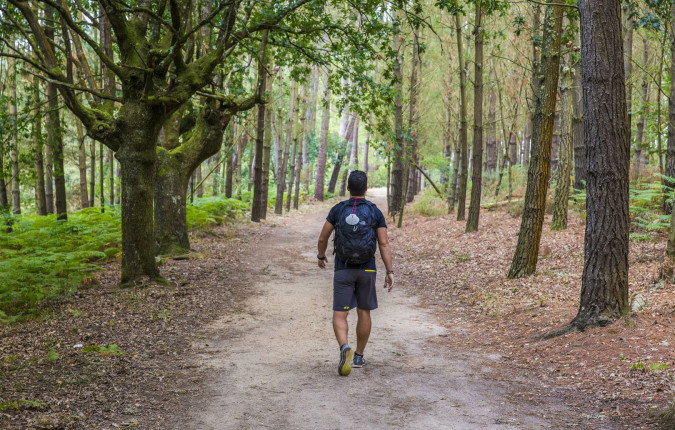 Walk the Camino de Santiago