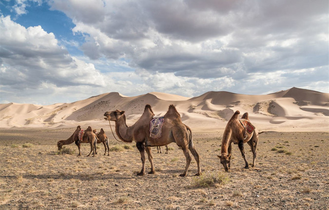 Mongolia's Naadam Festival