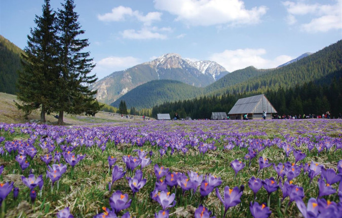 Best of Central Europe