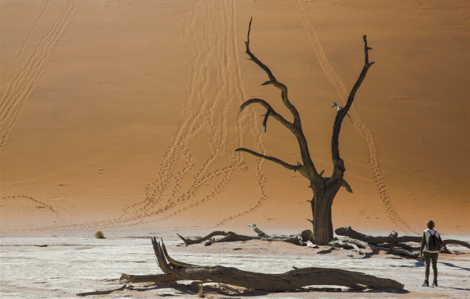 Cape Town to Namibia Overland Safari & Participation Camping