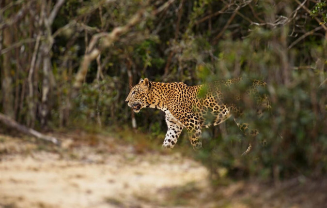 Discover Sri Lanka