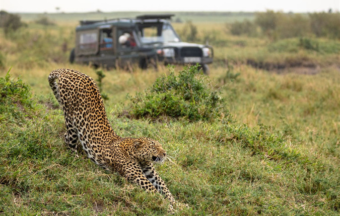 Best of East Africa
