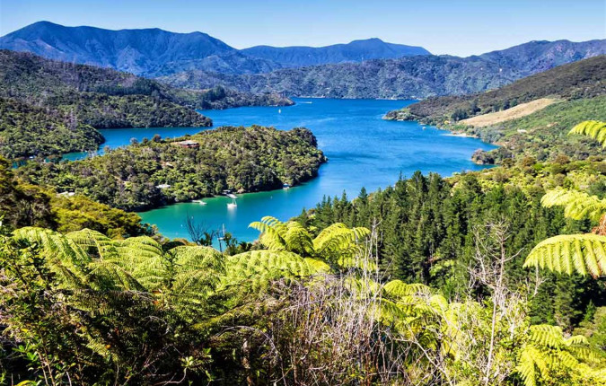 Walk New Zealand's Abel Tasman & Queen Charlotte