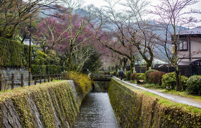 Journeys: Iconic Japan